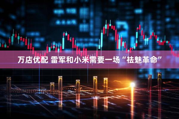 万店优配 雷军和小米需要一场“祛魅革命”