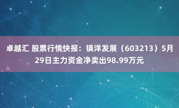 卓越汇 股票行情快报：镇洋发展（603213）5月29日主力资金净卖出98.99万元