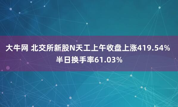 大牛网 北交所新股N天工上午收盘上涨419.54% 半日换手率61.03%