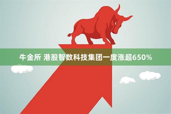 牛金所 港股智数科技集团一度涨超650%