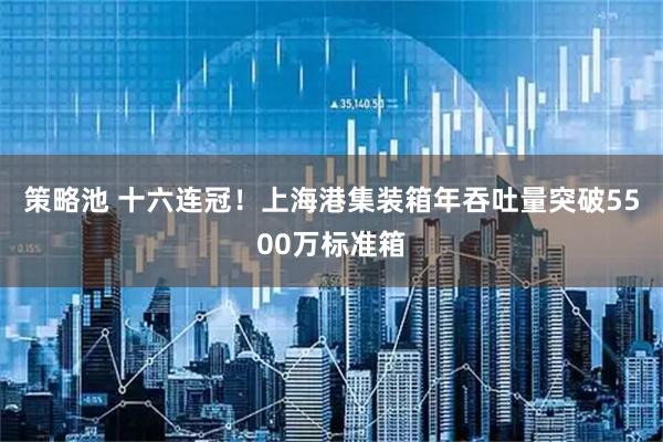 策略池 十六连冠！上海港集装箱年吞吐量突破5500万标准箱