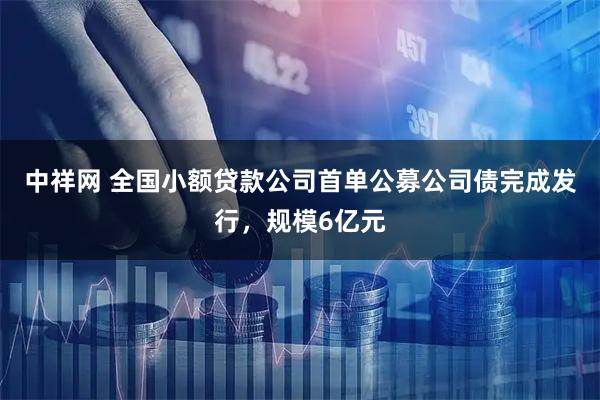 中祥网 全国小额贷款公司首单公募公司债完成发行，规模6亿元